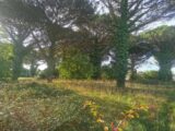  2460061-9573annonce120260318r9y48.jpeg Maisons Open