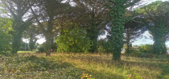 Terrain à bâtir à Saint-Maixant, Nouvelle-Aquitaine