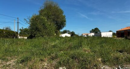 Commequiers Terrain à bâtir - 2493251-11854annonce120260424dANxP.jpeg Maisons Open