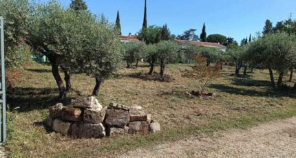 Aubignan Terrain à bâtir - 2435657-695annonce320260220wXkn6.jpeg Maisons Open