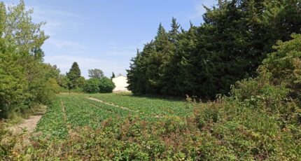 Sénas Terrain à bâtir - 2448000-3969annonce220260305E5UFy.jpeg Maisons Open