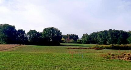 Verfeil Terrain à bâtir - 2493260-5202annonce120260424OcHqm.jpeg Maisons Open