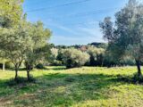  2403512-4866annonce320260123bn5Dk.jpeg Maisons Open