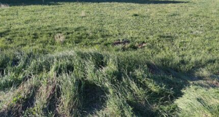 Malijai Terrain à bâtir - 2493649-2970annonce420260424BpQhT.jpeg Maisons Open