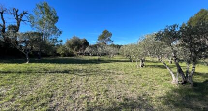 Flayosc Terrain à bâtir - 2439252-11723annonce120260224FQeuP.jpeg Maisons Open