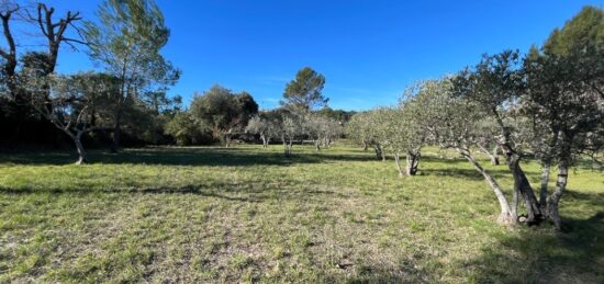 Terrain à bâtir à Flayosc, Provence-Alpes-Côte d'Azur