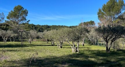 Flayosc Terrain à bâtir - 2439252-11723annonce320260224Qn98Z.jpeg Maisons Open