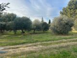  2405508-11073annonce120260124iZ2hA.jpeg Maisons Open