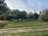  2405508-11073annonce2202601240QPVG.jpeg Maisons Open
