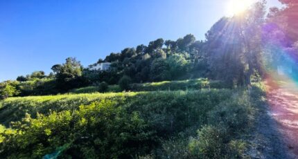 Saint-Laurent-du-Var Terrain à bâtir - 2493965-3059annonce420260425Hgma6.jpeg Maisons Open