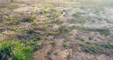 Pourrières Terrain à bâtir - 2493937-11677annonce320260425qzT16.jpeg Maisons Open