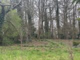  2460991-1635annonce220260318vb1qU.jpeg Maisons Open