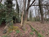  2460991-1635annonce320260318rUtTQ.jpeg Maisons Open