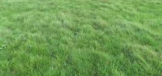 Terrain à bâtir à Soisy-Bouy, Île-de-France