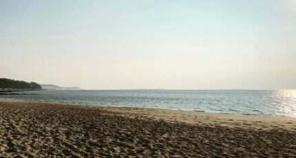 La Teste-de-Buch Terrain à bâtir - 2493979-11151annonce120260425fOZCv.jpeg Maisons Open