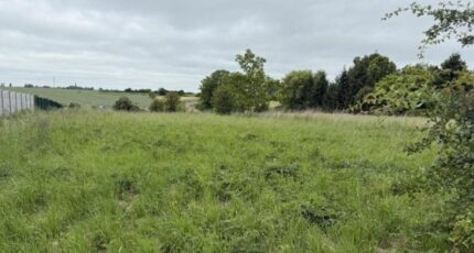 Caudry Terrain à bâtir - 2493812-7246annonce120260424PXTLK.jpeg Maisons Open