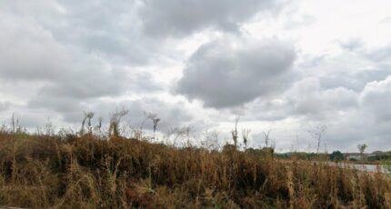 Saint-Orens-de-Gameville Terrain à bâtir - 2493745-5771annonce120260424ckLJa.jpeg Maisons Open