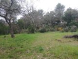  2462396-5922annonce120260320IIHq4.jpeg Maisons Open