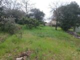  2462396-5922annonce4202603206Xk7n.jpeg Maisons Open