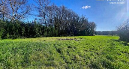 Camps-la-Source Terrain à bâtir - 2464517-5922annonce320260323JpcUH.jpeg Maisons Open