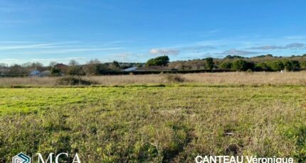 Saint-Palais-sur-Mer Terrain à bâtir - 2494708-11163annonce120260427tJsoQ.jpeg Maisons Open