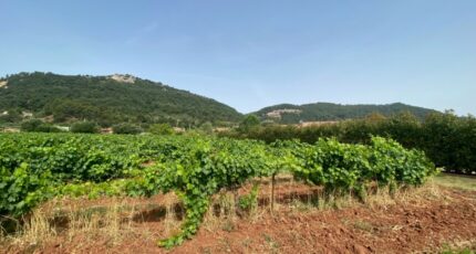 Gonfaron Terrain à bâtir - 2433949-10122annonce420260219tsy79.jpeg Maisons Open