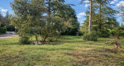 Saint-Maximin-la-Sainte-Baume Terrain à bâtir - 2437204-10122annonce120260223igM7L.jpeg Maisons Open