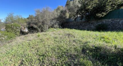 Hyères Terrain à bâtir - 2468089-10122annonce120260326c1MFL.jpeg Maisons Open