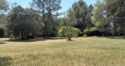 Le Val Terrain à bâtir - 2494732-10744annonce220250113qTiud.jpeg Maisons Open