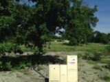  2462002-3127annonce120250923s6bgV.jpeg Maisons Open