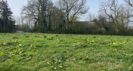 Fauville-en-Caux Terrain à bâtir - 2494819-11168annonce2202604271cW4z.jpeg Maisons Open