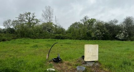 Bouin Terrain à bâtir - 2494474-11854annonce120260426LeSuJ.jpeg Maisons Open