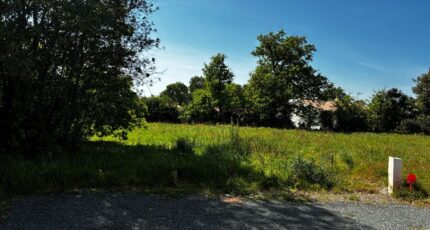 Commequiers Terrain à bâtir - 2494521-11854annonce12026042603WGZ.jpeg Maisons Open