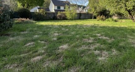 Gometz-le-Châtel Terrain à bâtir - 2494829-11226annonce120260427Z7gLM.jpeg Maisons Open