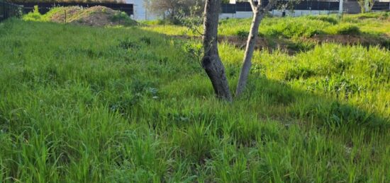 Terrain à bâtir à , Var