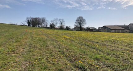 Camblanes-et-Meynac Terrain à bâtir - 2494933-1090annonce120260427u6kWM.jpeg Maisons Open