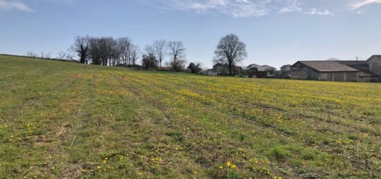 Terrain à bâtir à Camblanes-et-Meynac, Nouvelle-Aquitaine