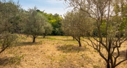 Aix-en-Provence Terrain à bâtir - 2494984-7054annonce1202604276fAHZ.jpeg Maisons Open