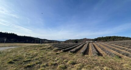 Roumoules Terrain à bâtir - 2405468-2970annonce120260224P77fH.jpeg Maisons Open