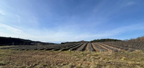 Terrain à bâtir à , Alpes-de-Haute-Provence