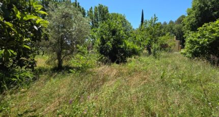 Pierrevert Terrain à bâtir - 2432173-2970annonce12026021779KrB.jpeg Maisons Open