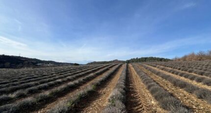 Roumoules Terrain à bâtir - 2438378-2970annonce120260224XwHf8.jpeg Maisons Open