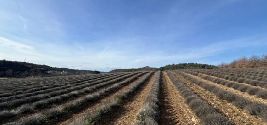 Terrain à bâtir à Roumoules, Provence-Alpes-Côte d'Azur
