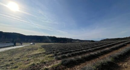 Roumoules Terrain à bâtir - 2438466-2970annonce120260224RiyEu.jpeg Maisons Open