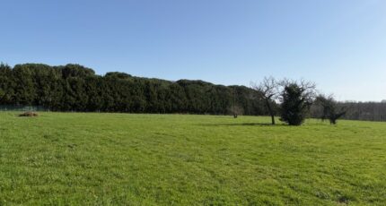 Langon Terrain à bâtir - 2495555-10677annonce120260428GZiyP.jpeg Maisons Open