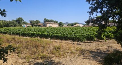 Cogolin Terrain à bâtir - 2495636-5163annonce220251014GHiuU.jpeg Maisons Open