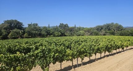 Cogolin Terrain à bâtir - 2495636-5163annonce320251014cmLIv.jpeg Maisons Open