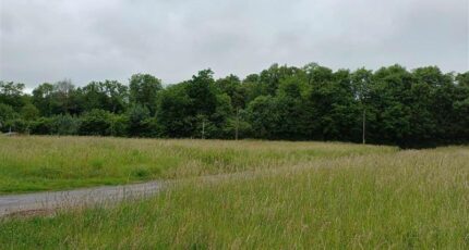 Auchel Terrain à bâtir - 2495696-11655annonce120260428RWvKn.jpeg Maisons Open