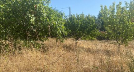 Toulon Terrain à bâtir - 2463367-9599annonce120260320035ev.jpeg Maisons Open