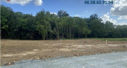 Castres-Gironde Terrain à bâtir - 2496014-11071annonce120260428GcTkf.jpeg Maisons Open